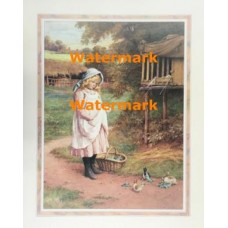 Feeding The Rabbits  - XKVH3572  -  PRINT