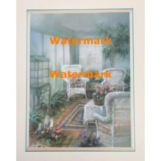 The Bird Cage  - #XKVH5308  -  PRINT
