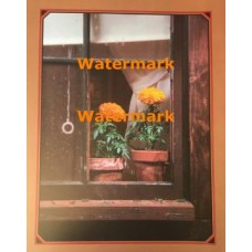 Farm Window  - XKVH5539  -  PRINT