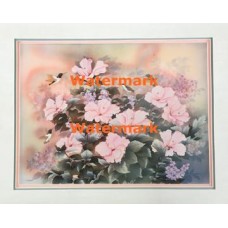 Hummingbird & Hibiscus  - XKVH5751  -  PRINT