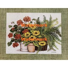 Greenhouse  - XS2089  -  PRINT