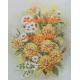 Mums  - XS2234  -  PRINT
