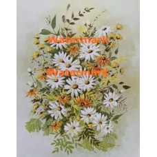 Daisies  - XS2236  -  PRINT