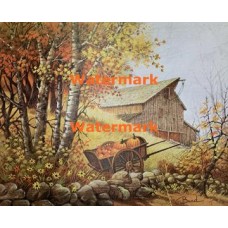 Pumpkins  - XS2374  -  PRINT