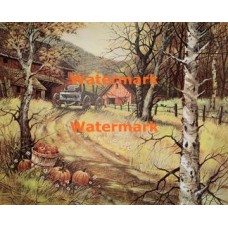 Pumpkins  - XS2375  -  PRINT