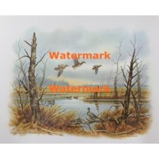 Mallards-Wood Ducks-Great Swamp  - XS2567  -  PRINT