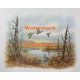 Mallards-Wood Ducks-Great Swamp  - XS2567  -  PRINT