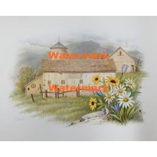 Flowers In The Field  - XS2714  -  PRINT