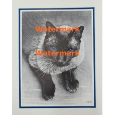 Blue Eyes  - XS3011  -  PRINT