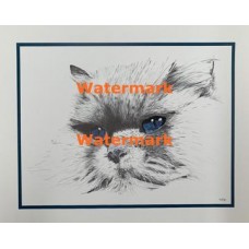 Blue Eyes  - XS3012  -  PRINT