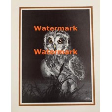 Owl  - XS3015  -  PRINT
