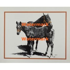 Horses  - XS3017  -  PRINT