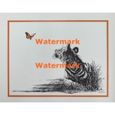 Tiger & Butterfly  - XS3019  -  PRINT