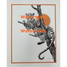 Leopard  - XS3022  -  PRINT