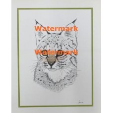 Cat  - XS3023  -  PRINT
