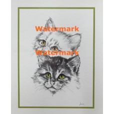 Cats  - XS3024  -  PRINT