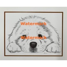 Puppy  - XS3025  -  PRINT