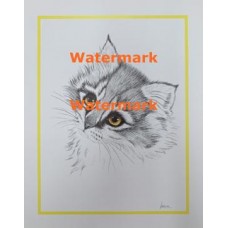 Cat  - XS3027  -  PRINT