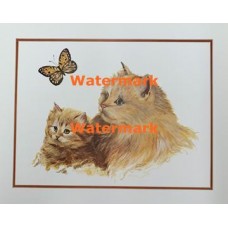 Cats & Butterfly  - XS3086  -  PRINT