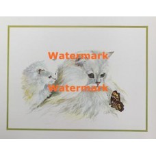 Cats & Butterfly  - XS3087  -  PRINT