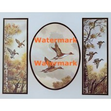 Mallards, Pin Tails, & Wood Ducks  - XS3229  -  PRINT