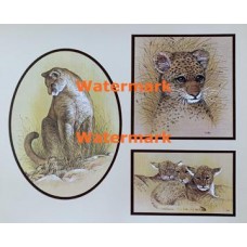 Wild Cats  - XS3232  -  PRINT