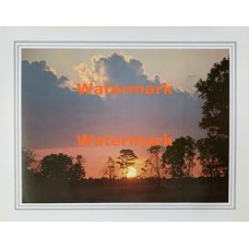 Sunset  - XS3239  -  PRINT