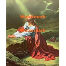 Gethsemane  - XS569  -  PRINT