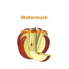 Stylized Apple  - #XKCC8010  -  PRINT