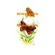 Butterflies  - XD2669  -  PRINT