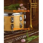 The Beat Goes On  - #XAR2554  -  PRINT