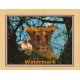 Curious Lion  - XKFL2118  -  PRINT