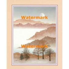 One Evergreen  - #XKFL2329  -  PRINT