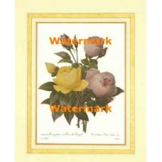 1.  Rose  - #XKFL2418  -  PRINT