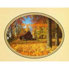 Country Cabin  - XKFL2534  -  PRINT