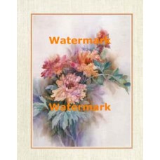 Chrysanthemum  -  XKFL2573  -  PRINT