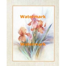 Iris  -  XKFL2575  -  PRINT