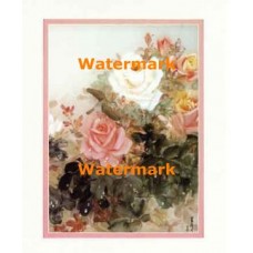 Pink And White Roses  - #XKFL2617  -  PRINT