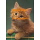 Rusty  - #XKD2086  -  PRINT