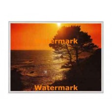 Golden Sunset  - XKFL2005  -  PRINT
