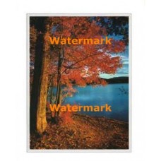 Shoreline  - #XKFL2011  -  PRINT