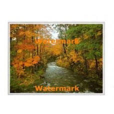 Autumn Brook  - XKFL2023  -  PRINT