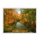 Autumn Brook  - XKFL2023  -  PRINT