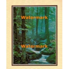 Misty Stream  - #XKFL2041  -  PRINT