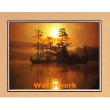 Isle Of Trees  - #XKFL2102  -  PRINT