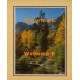 Woodland Stream  - #XKFL2103  -  PRINT