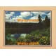 Woodland Vista  - #XKFL2105  -  PRINT