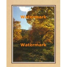 Autumn Vista  - XKFL2106  -  PRINT