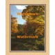 Autumn Vista  - XKFL2106  -  PRINT