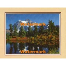 Timber Lake  - #XKFL2107  -  PRINT